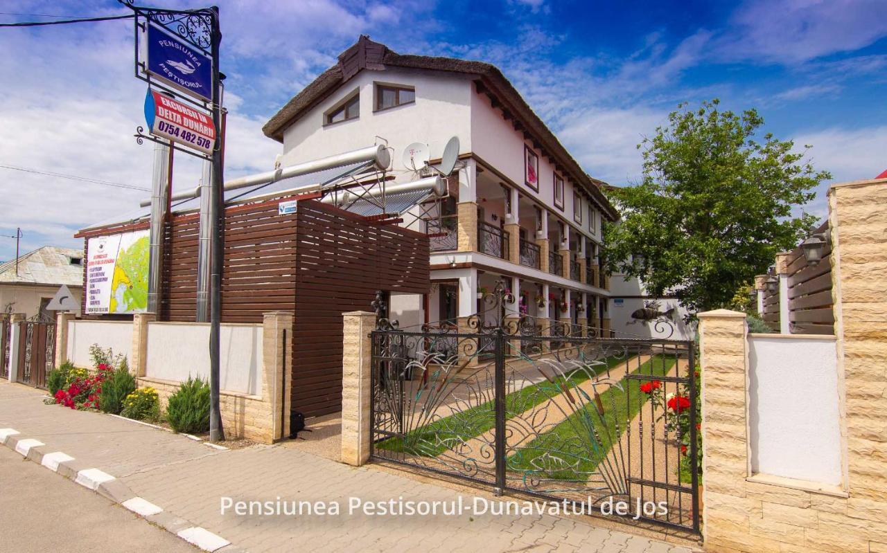 Pensiunea Pestisorul Dunavatu de Jos Ngoại thất bức ảnh