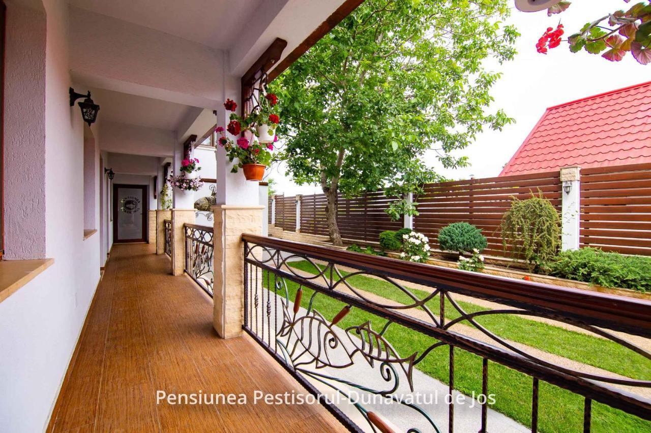 Pensiunea Pestisorul Dunavatu de Jos Ngoại thất bức ảnh