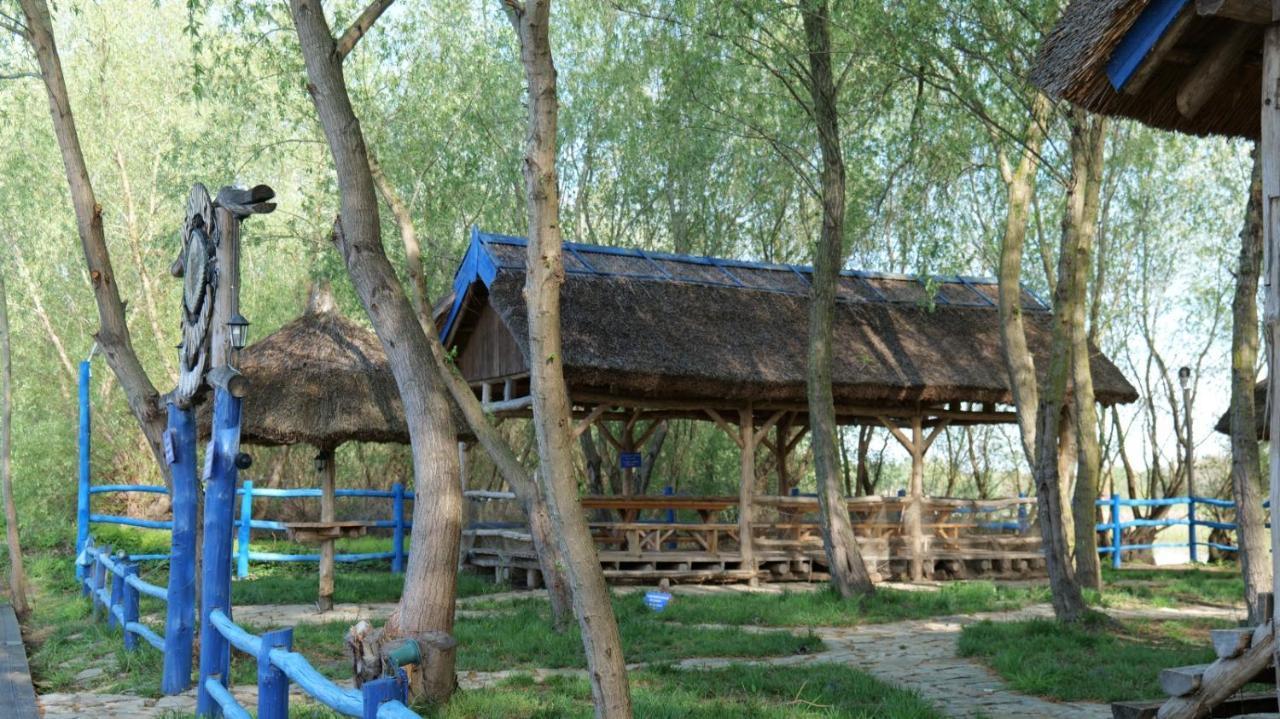 Pensiunea Pestisorul Dunavatu de Jos Ngoại thất bức ảnh